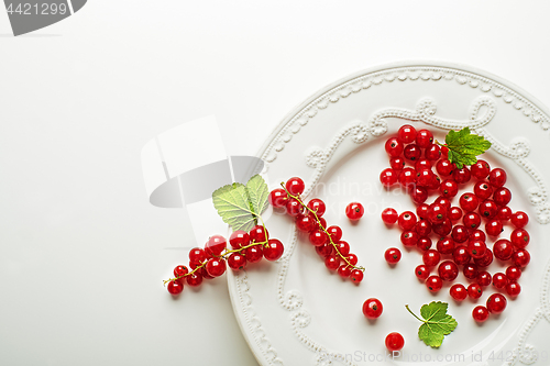 Image of Redcurrant berries