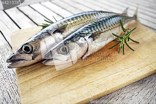 Image of Fish food