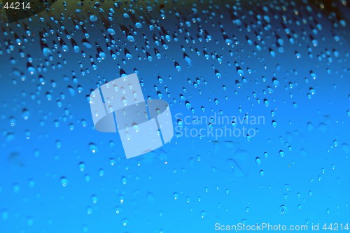 Image of Drops on blue I