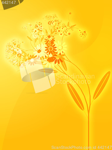 Image of Flowers illustration