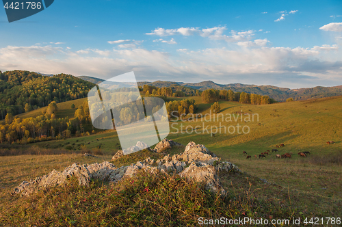 Image of Beauty dawn in the mountains