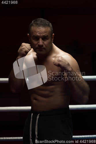 Image of professional kickboxer in the training ring