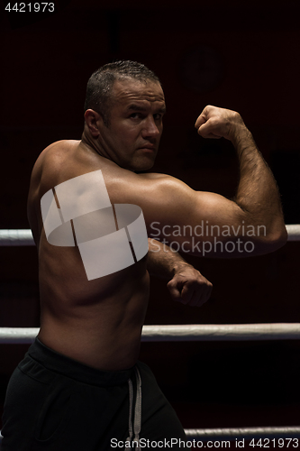 Image of professional kickboxer in the training ring