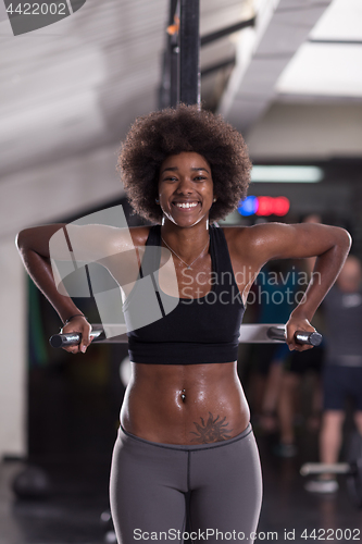 Image of black woman doing parallel bars Exercise