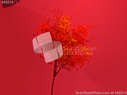 Image of Autumn tree