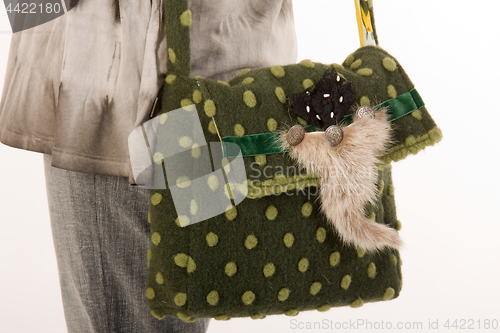 Image of Handbag with green pattern