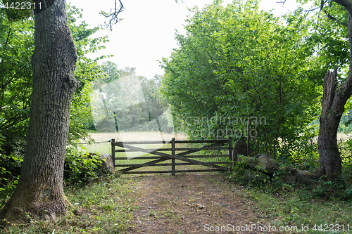 Image of Vintage wooden gate