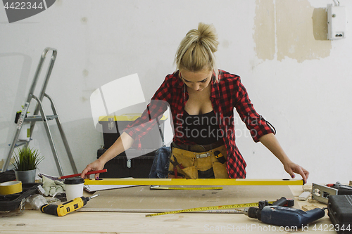 Image of Woman measuring plywood sheet with spirit level 