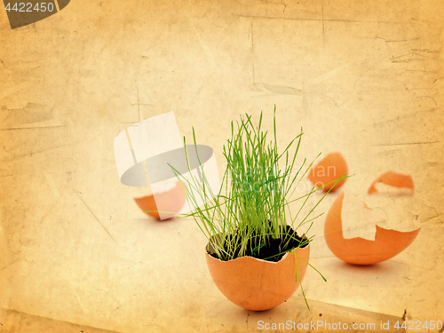 Image of Easter Vitality