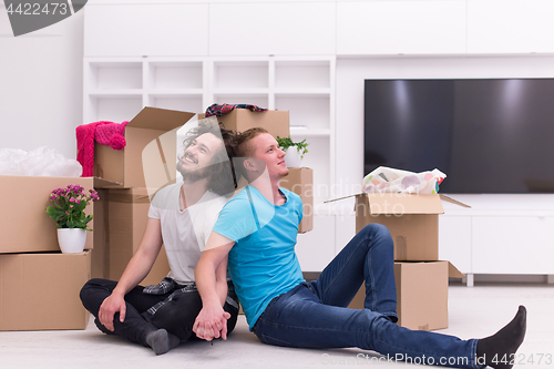 Image of young  gay couple moving  in new house