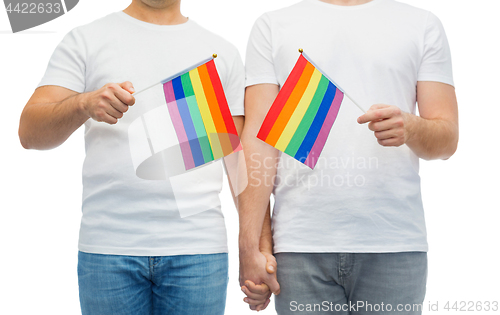 Image of male couple with gay pride flags holding hands