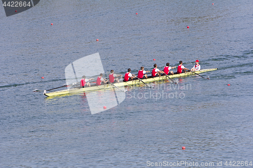 Image of Rowers in eight-oar rowing boats on the tranquil lake