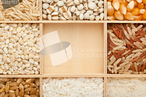 Image of Types of grains