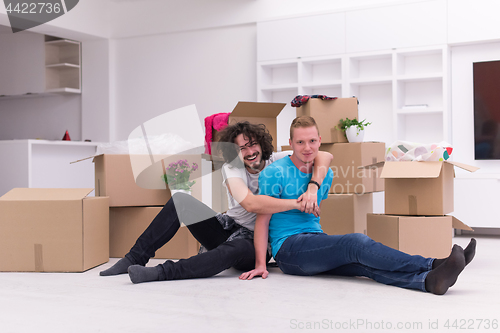 Image of young  gay couple moving  in new house