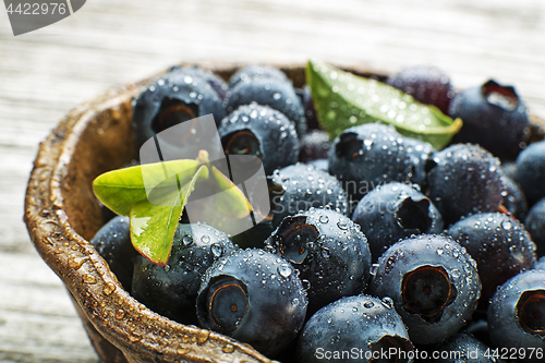 Image of Blueberries