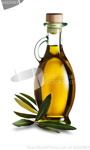 Image of Olive oil