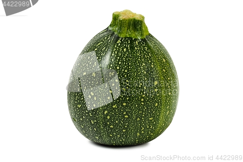 Image of Round zucchini on white