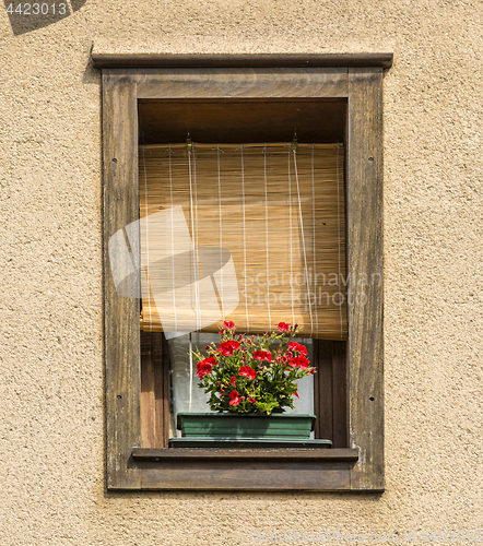 Image of Fancy Window