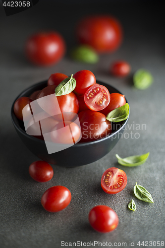 Image of Tomato