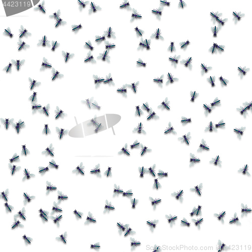 Image of a white background with lots of flies on it