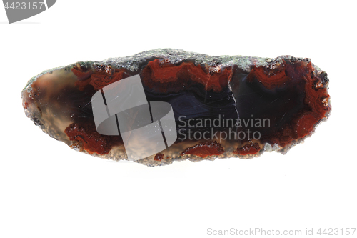 Image of brown agate isolated