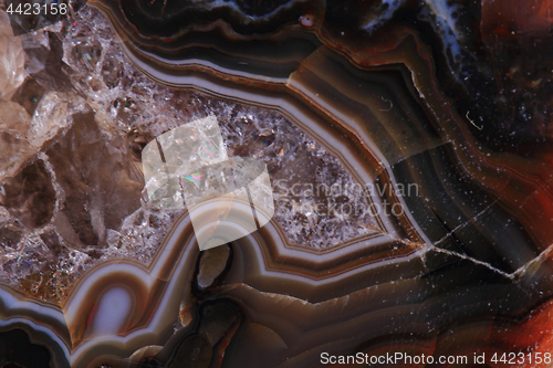 Image of brown agate texture 