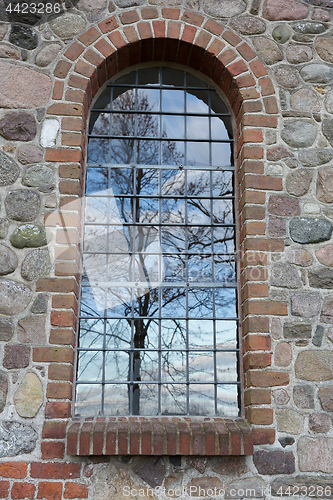 Image of Tree reflection in a window. Uggeløse church in 2017