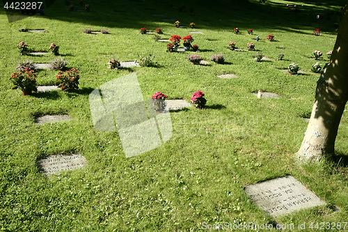 Image of Graves at Hørsholm kirkegård cemetery in Denmark