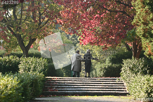 Image of Older couple at Vedbæk  graveyard