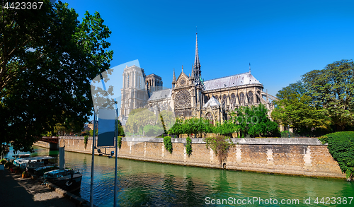 Image of Majestic cathedral Notre Dame