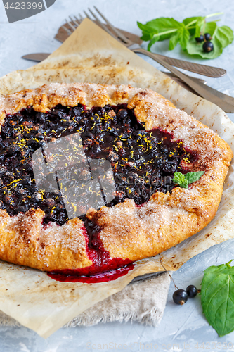 Image of Homemade galette with black currant and lemon zest.