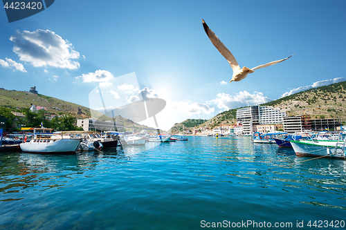 Image of Boats in Balaclava