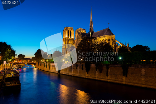 Image of Night over Notre Dame