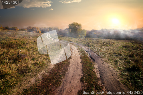 Image of Fog in countryside