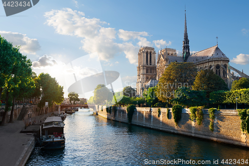 Image of Sunlight on Notre Dame