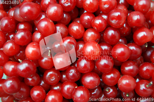 Image of Background from berries of the cherries