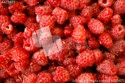 Image of Berry raspberry background