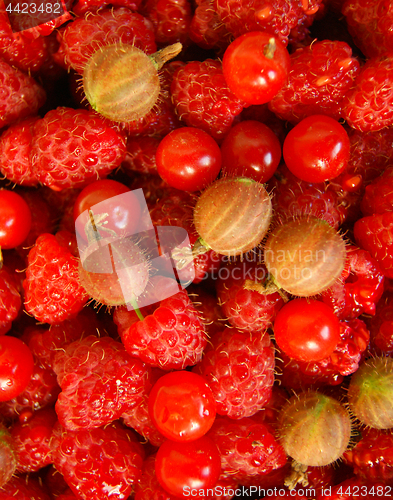 Image of Berries raspberry,gooseberry and cherry