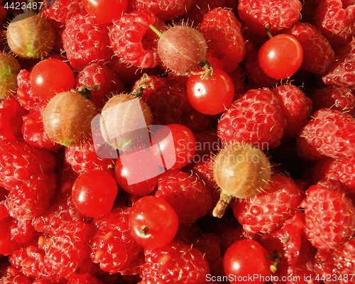 Image of Berries raspberry,gooseberry and cherry