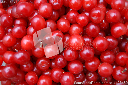 Image of Fresh natural cherry to background