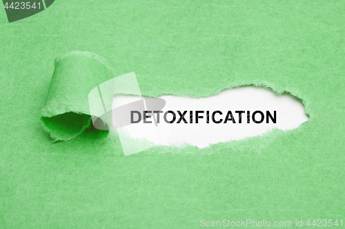 Image of Detoxification Green Torn Paper Concept