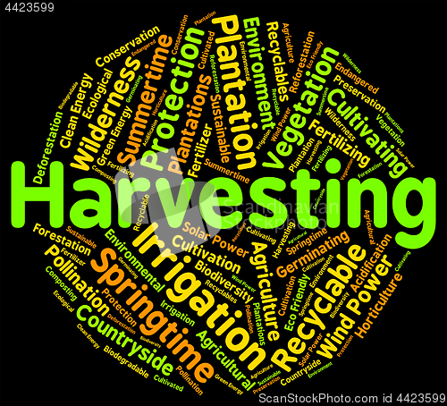 Image of Harvesting Word Means Text Yield And Grain