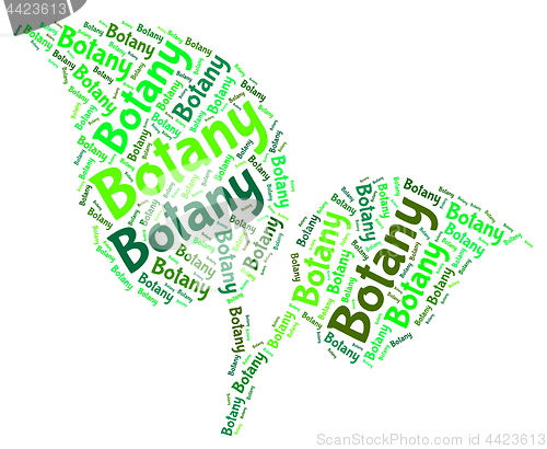 Image of Botany Word Shows Plant Life And Botanical