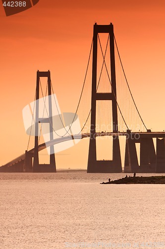 Image of The Great Belt Bridge