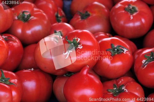 Image of red tomatoes vegetables background