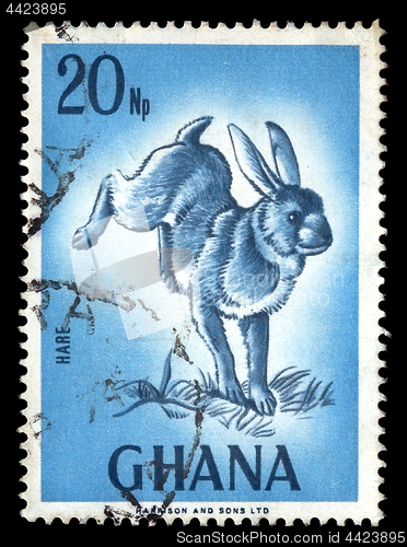 Image of rabbit vintage postage stamp