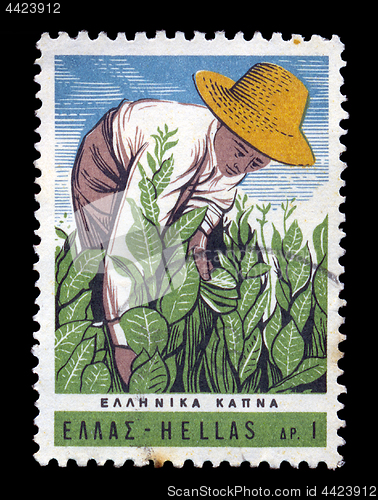 Image of tobacco harvest vintage postage stamp