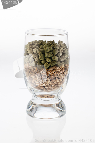 Image of Glass With Malt And Hop