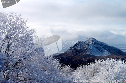 Image of Frosty Snowy Hills