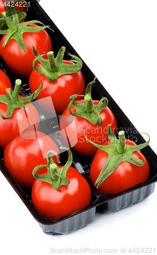 Image of Cherry Tomatoes in Container